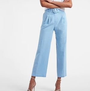 Express Linen Pants